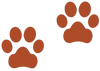 paws