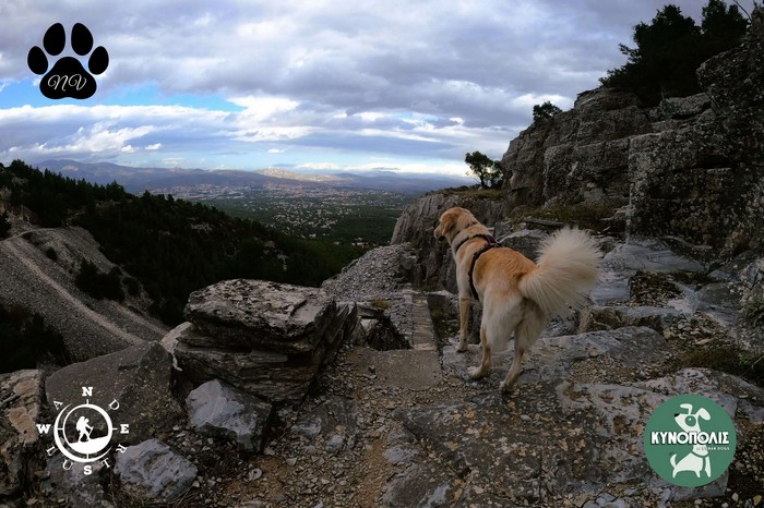 Dionisos trekking 02