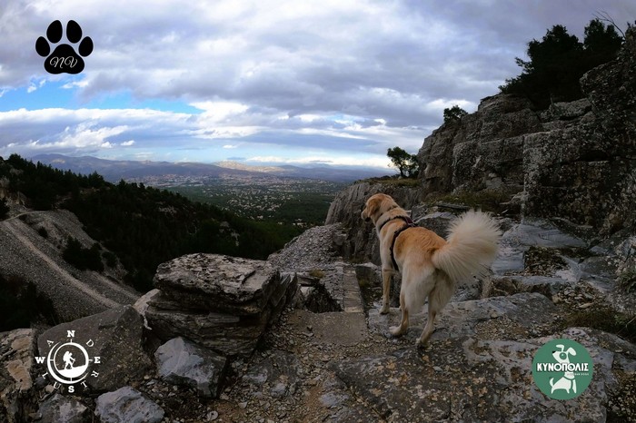 Dionisos trekking 03