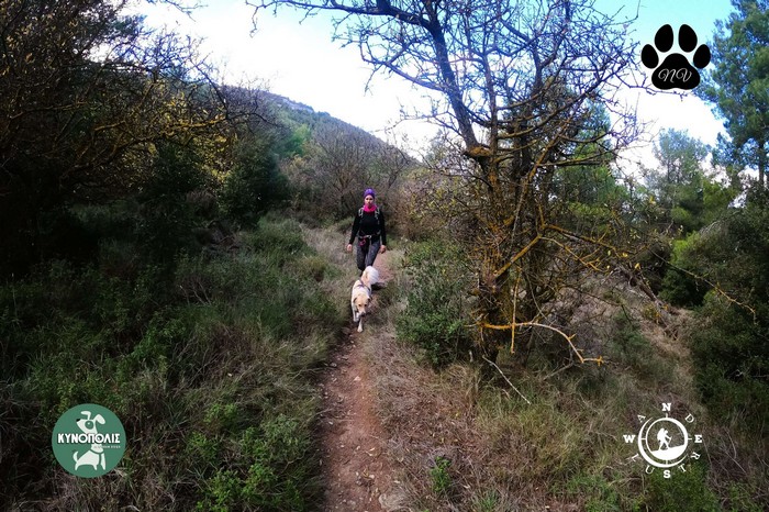 Dionisos trekking 04