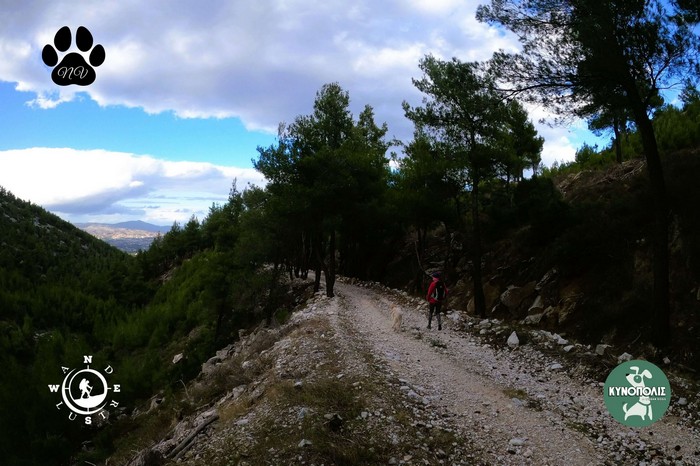 Dionisos trekking 06