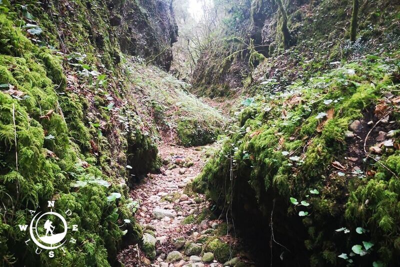 Foloi Gorge 01