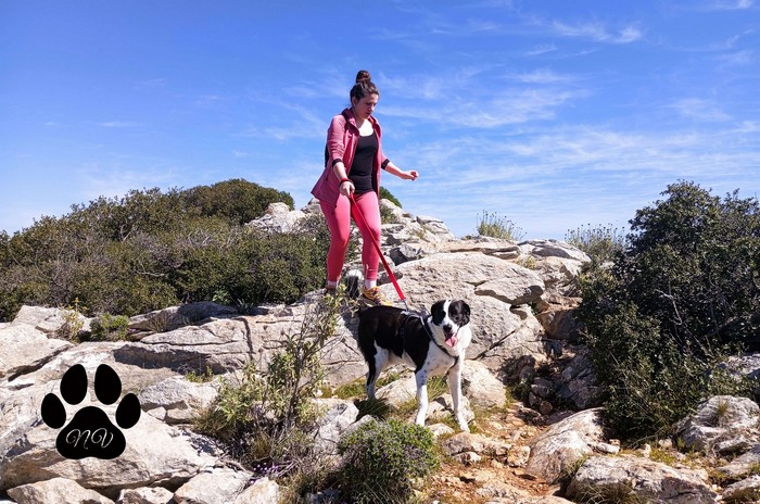 Trekking With Your Dog (North Ymittos)