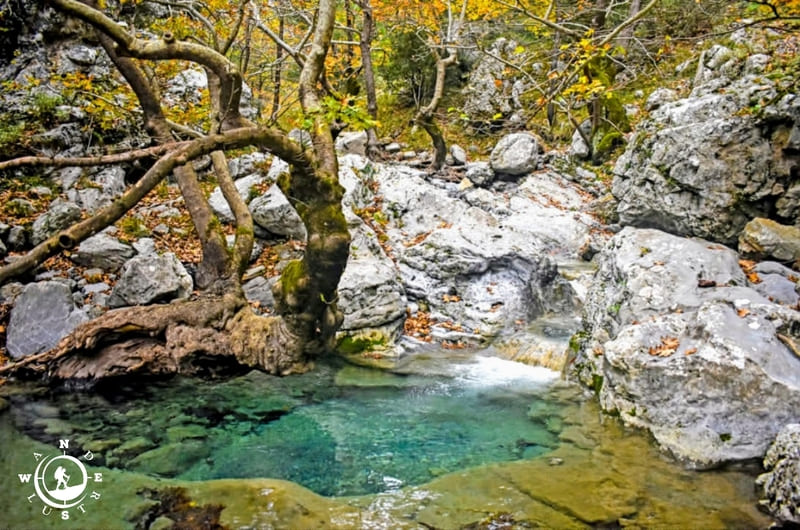 Φυσική βάθρα με κρυστάλλινα νερά και αιωνόβια πλατάνια στο Φαράγγι της Αγάλης στη Δίρφυ