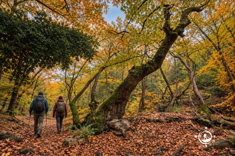 Δύο πεζοπόροι περπατούν ανάμεσα στα φθινοπωρινά δέντρα των Άνω Δολιανών