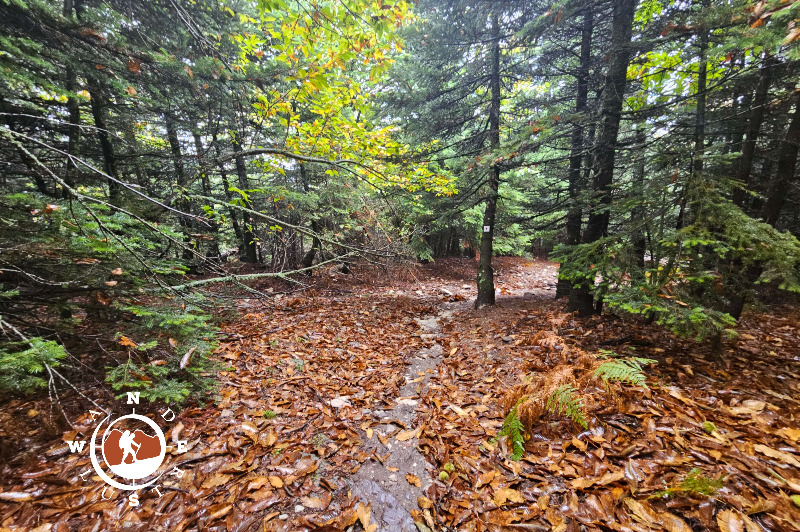 dirfis peak hiking trail 05