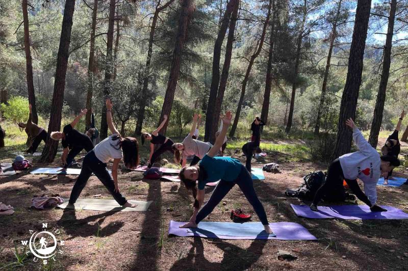 Συμμετέχοντες σε δυναμική πρακτική yoga κάτω από τα δέντρα, σε φυσικό δασικό περιβάλλον.
