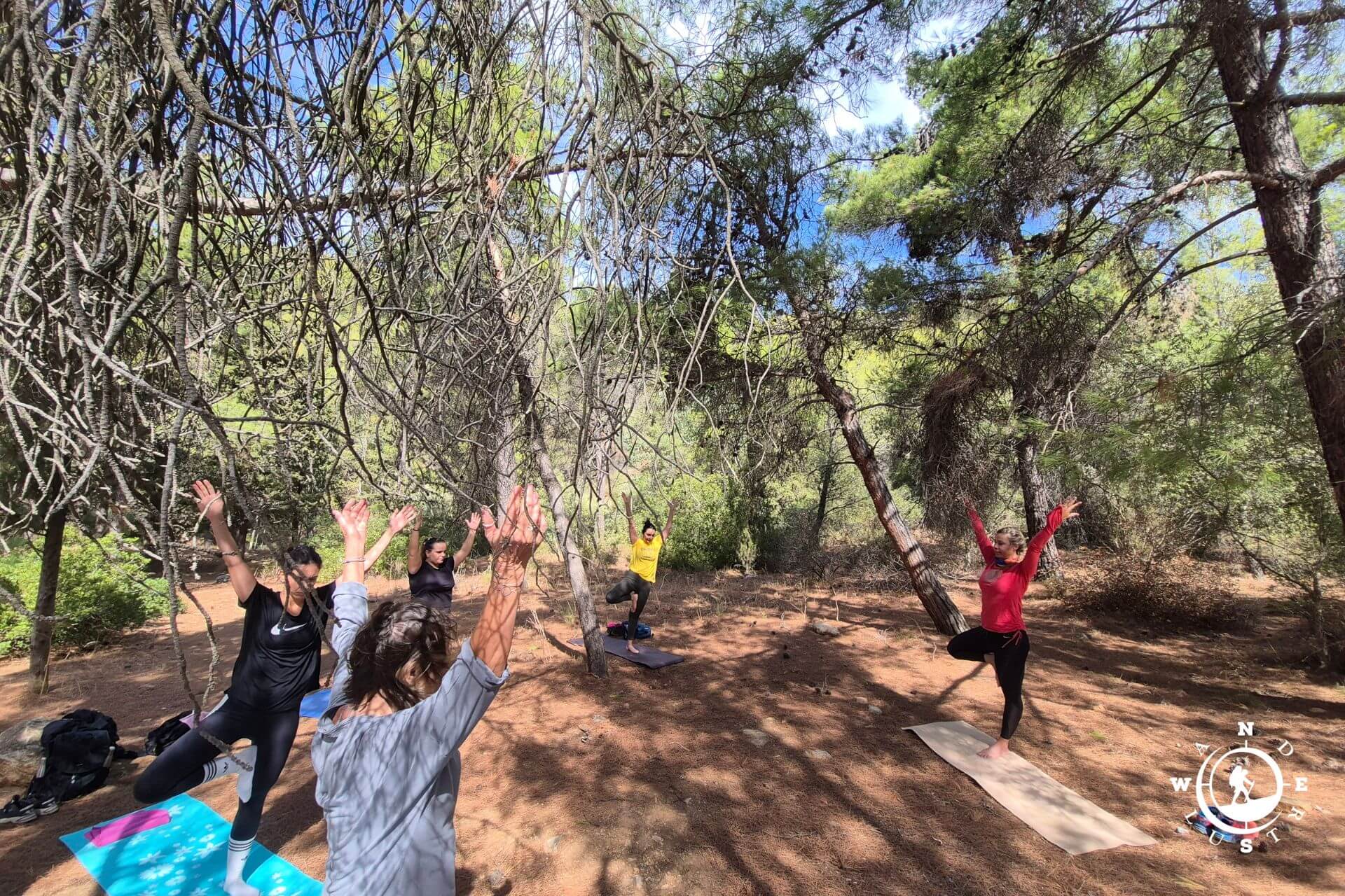 Group practicing yoga in the forest of Hymettus during the Deep Breath Yoga & Hiking event