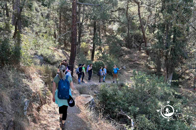 Πεζοπορία σε μονοπάτι μέσα στο αισθητικό δάσος του Υμηττού