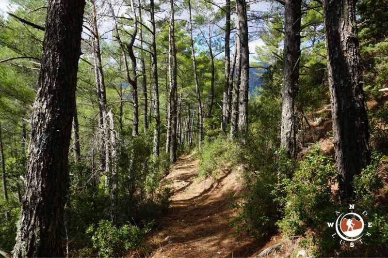 Forest trail near Kandila village, hiking route to Karoumpalo Peak in Arcadia, Greece