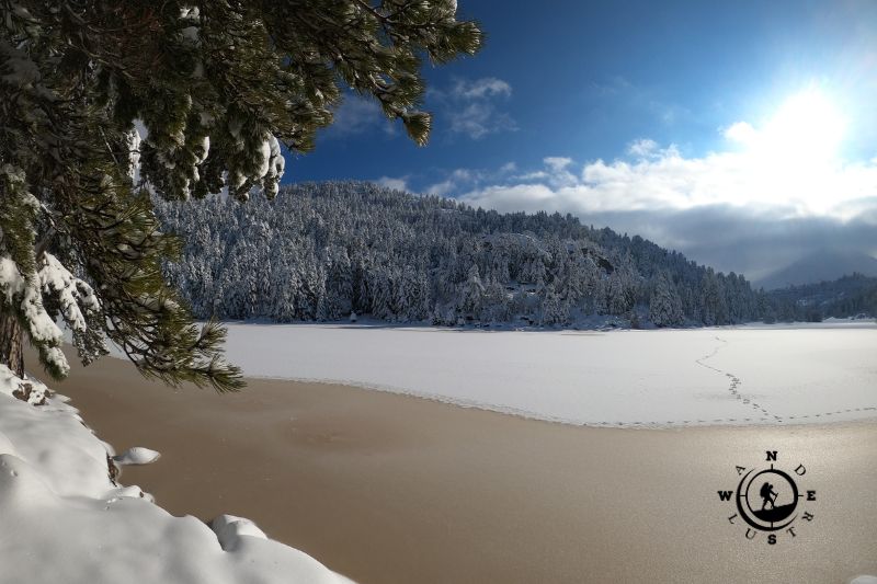 Snow-covered forest and frozen Lake Dasiou