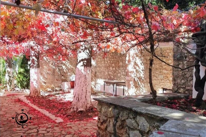 Autumn-coloured trees and a stone building on Mount Parnitha