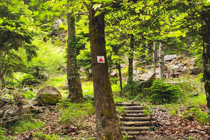 Mesiano Nero area in Mount Parnitha National Park