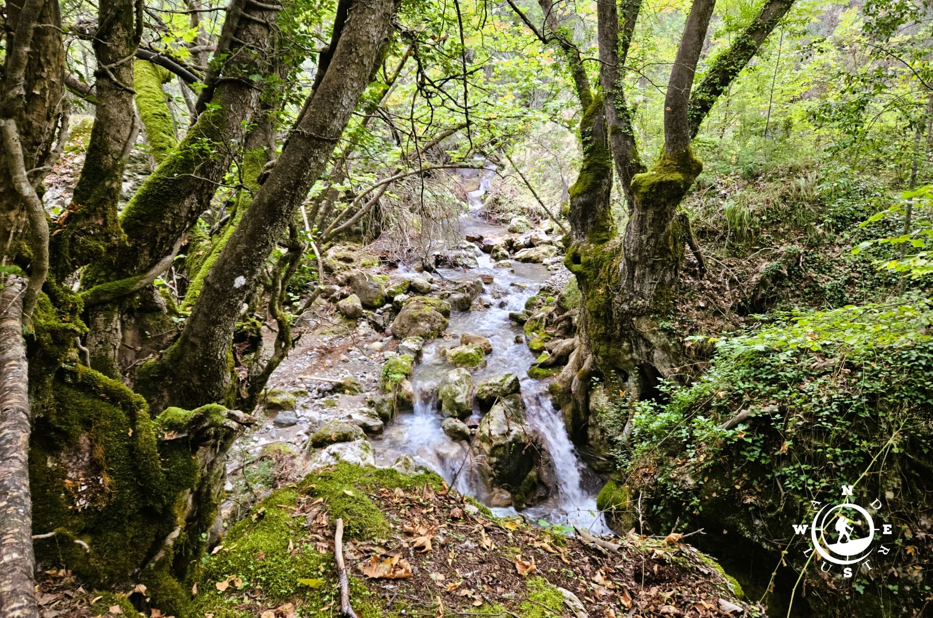 Φυσικό τοπίο με τρεχούμενο νερό και δέντρα στον Υδροβιότοπο Τζιρού