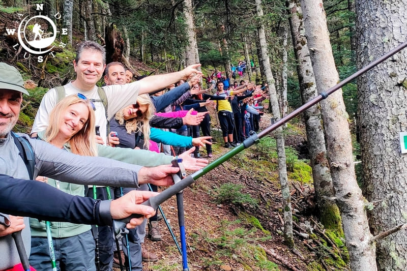 Ομαδική πεζοπορία στο Μαίναλο στη διαδρομή Ροεινό – Αλωνίσταινα μέσα σε ελατόδασος Αρκαδίας