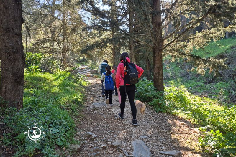 Ομάδα πεζοπόρων σε δασικό μονοπάτι του Υμηττού