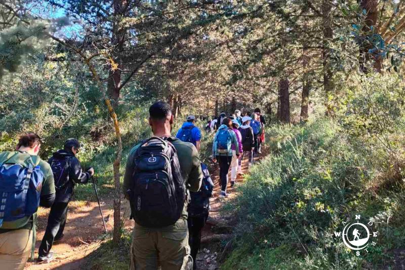 Ομάδα πεζοπόρων σε μονοπάτι του Υμηττού μέσα σε πευκοδάσος