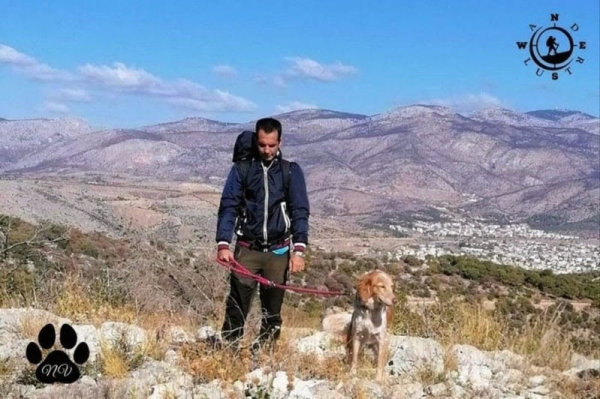 Trekking with Your Dog – Poikilo Mountain | Oct 4