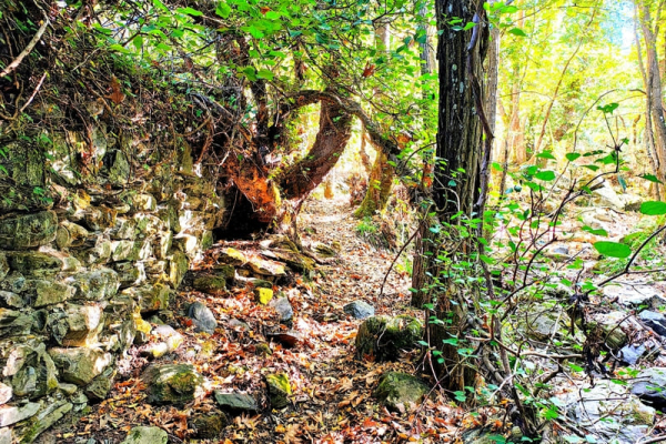 Hiking in Karyes – Oak Trail No 7 & Caryatids Monument