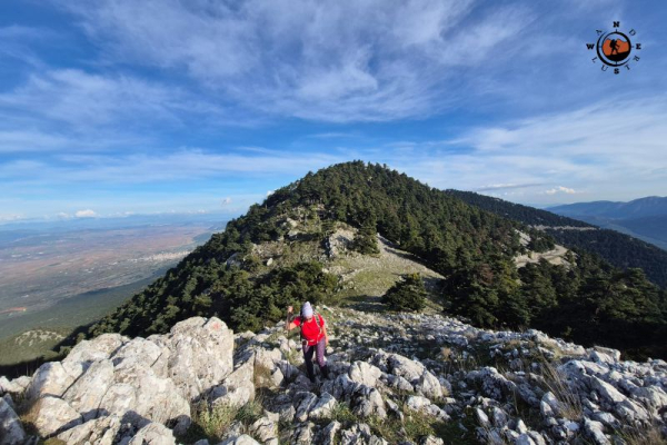 Κορυφογραμμή Κιθαιρώνα τον χειμώνα με θέα προς τις πλαγιές και το μονοπάτι 22