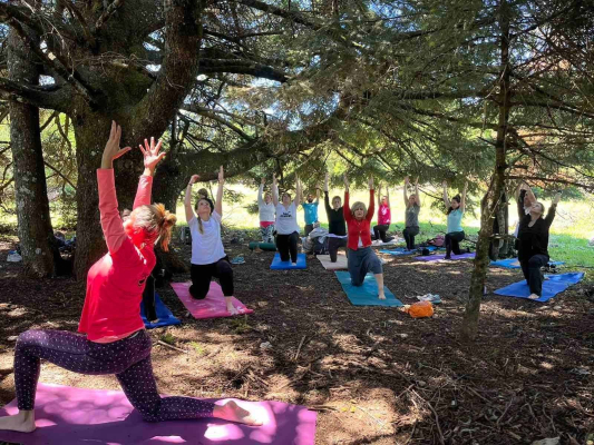Ομαδική πρακτική yoga μέσα στο ελατοδάσος της Πάρνηθας κατά τη διάρκεια Spring Yoga & Hiking