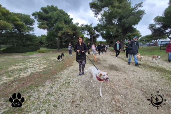 Trekking with your dog στο Εθνικό Πάρκο Σχινιά με ομάδα πεζοπόρων και σκύλους σε φυσικό μονοπάτι