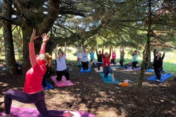Ομαδικό μάθημα yoga στη φύση, κάτω από τα δέντρα της Πάρνηθας με τη Wanderlust Outdoor Activities